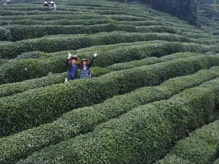 Drone Shots