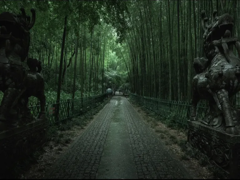 Yunqi Bamboo Path