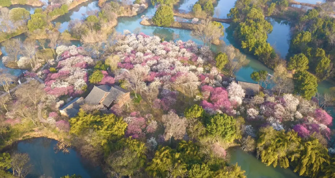 Xixi Wetland