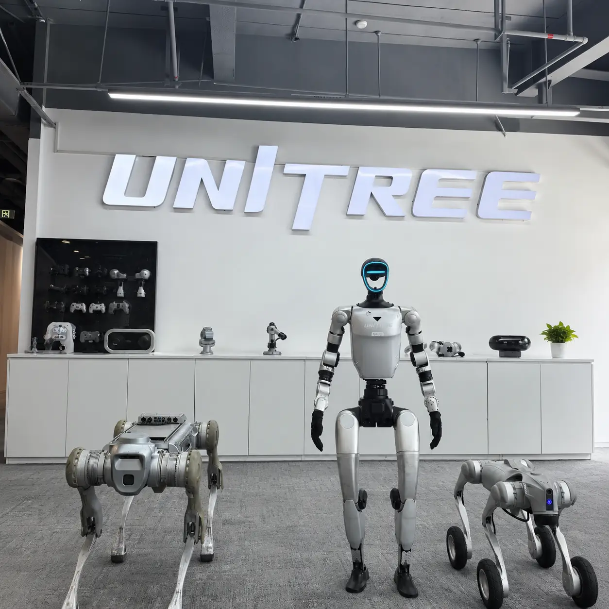 Hangzhou technology district and AI innovation ecosystem